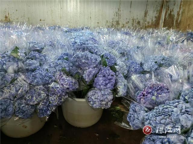 幸福之花, 富源中安, 感受乡村的