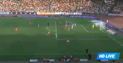 gif, img, 为球队首开
