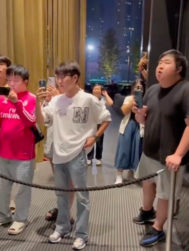 经收到高层, dlm, net