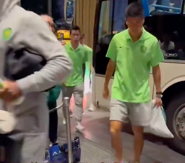 安球员下车, dlm, ej