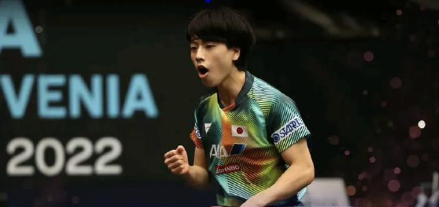 entit, 阿波罗尼亚, 筱塚大登帮